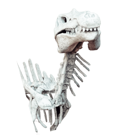 Dinosaur skeleton head to symbolize the indoor mini golf interactive experience